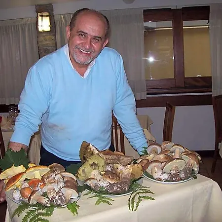 Ξενοδοχείο Ulivi