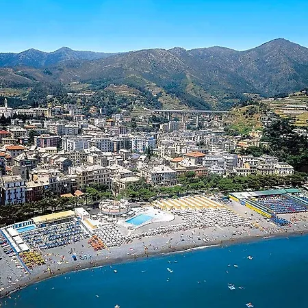 Ulivi 3*